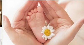 A parent's hands cupping a baby's feet with a daisy