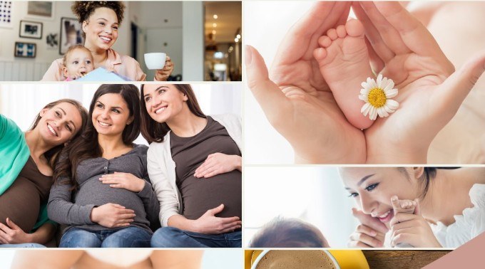 Bumpsy Daisy families — pregnancy, newborn and toddler moments
