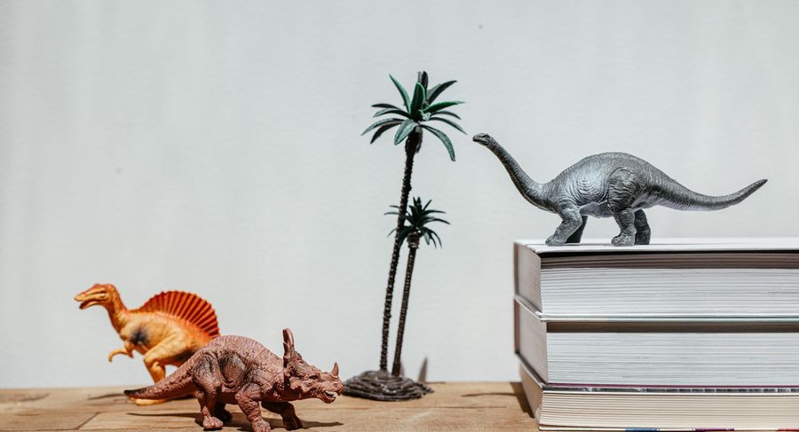 Toys and books available to borrow